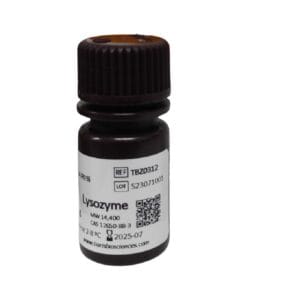 Lysozyme