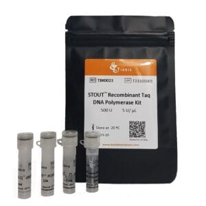 STOUT™ Recombinant Taq DNA Polymerase Kit