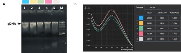 DNA Stool results