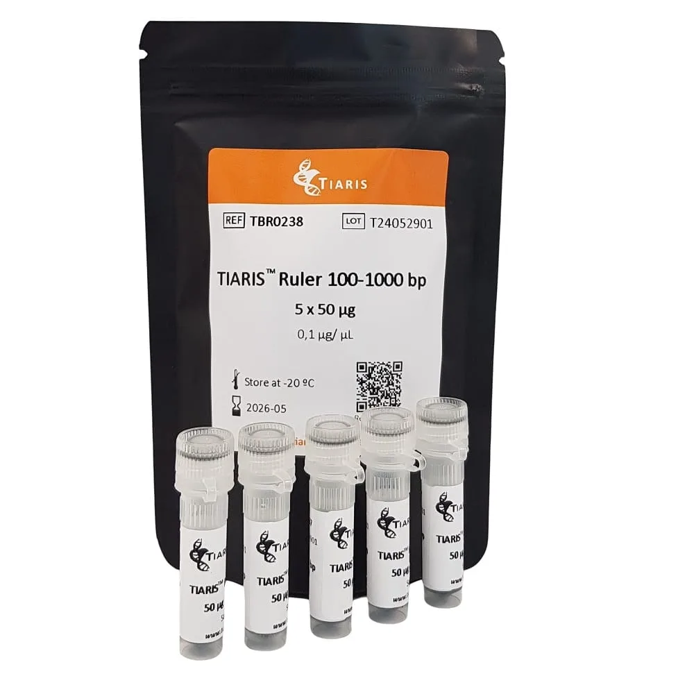 100 a 1000