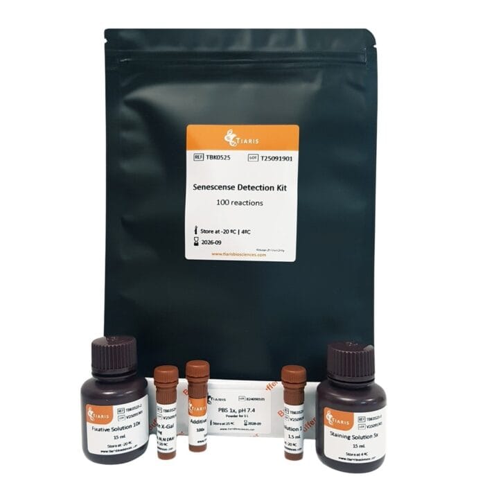 Senescence cell detection