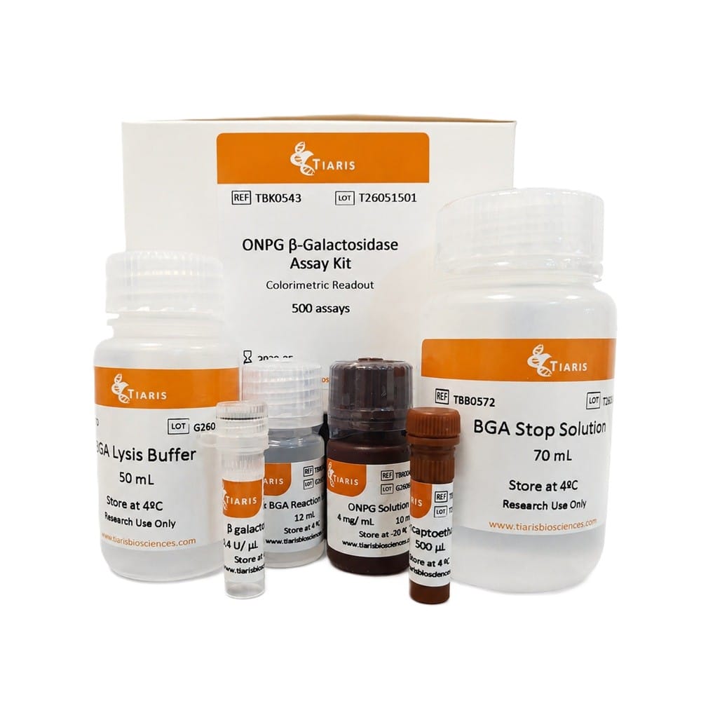 ONPG β-Galactosidase Assay Kit