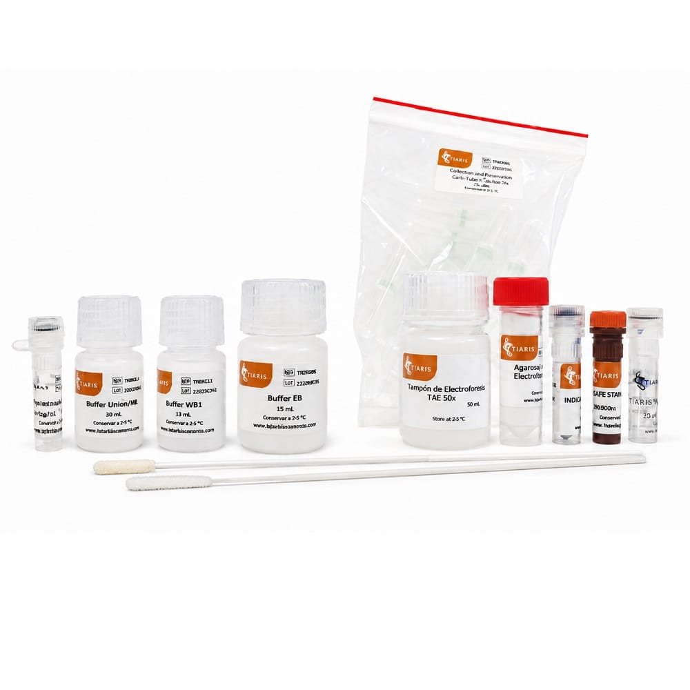 BUCCAL SWAB DNA EXTRACTION PLUS
