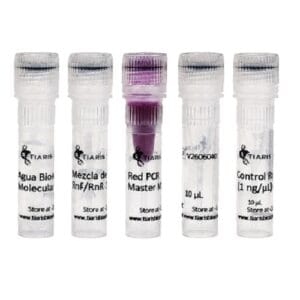 Kit Educativo de Determinación del Factor Rh mediante PCR