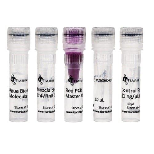 Kit Educativo de Determinación del Factor Rh mediante PCR