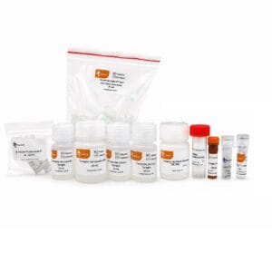 Purificación de ADN Genómico a partir de Sangre con Columnas de Sílice.